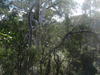 P4030458.JPG